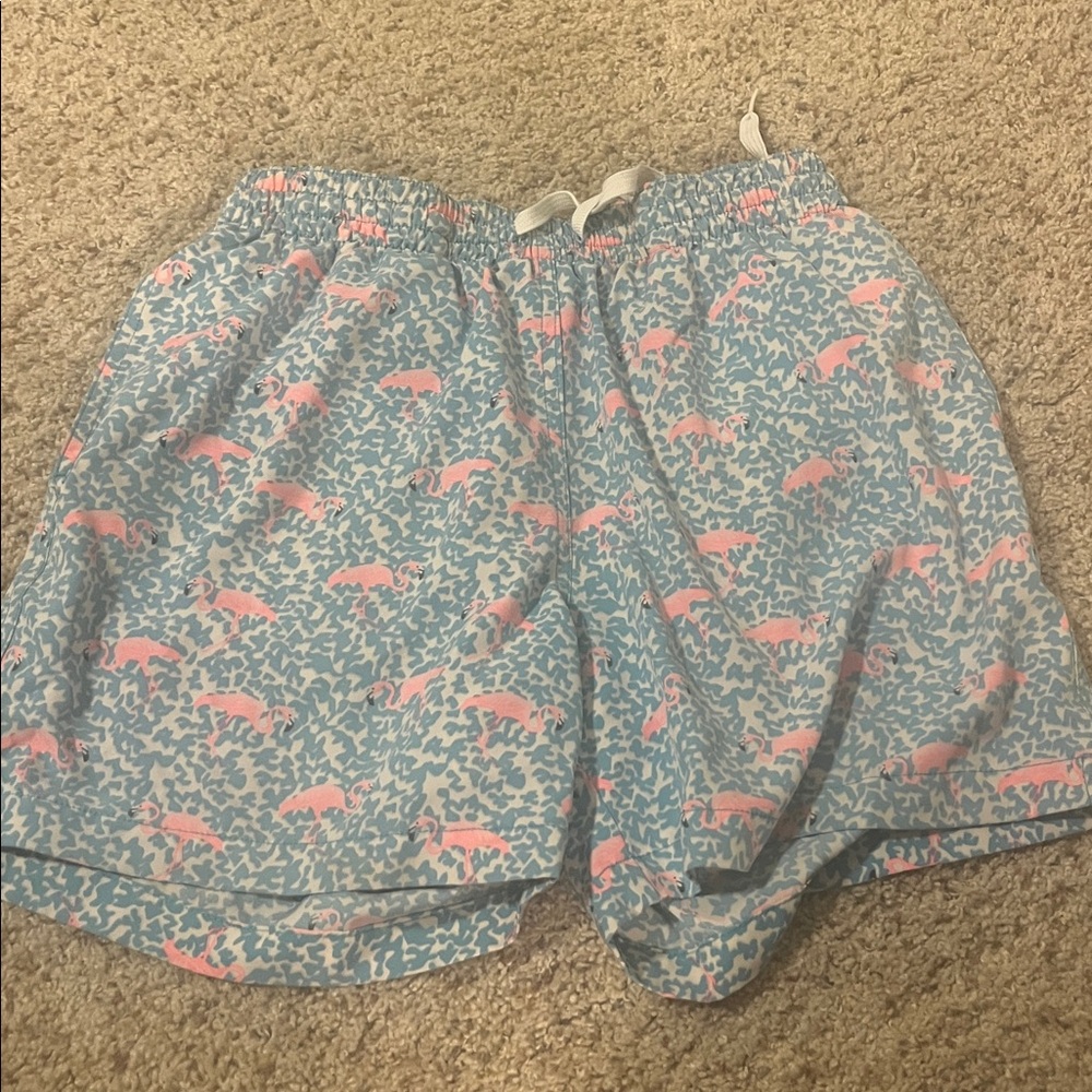 Chubbies Men’s Swim Trunks Sz small